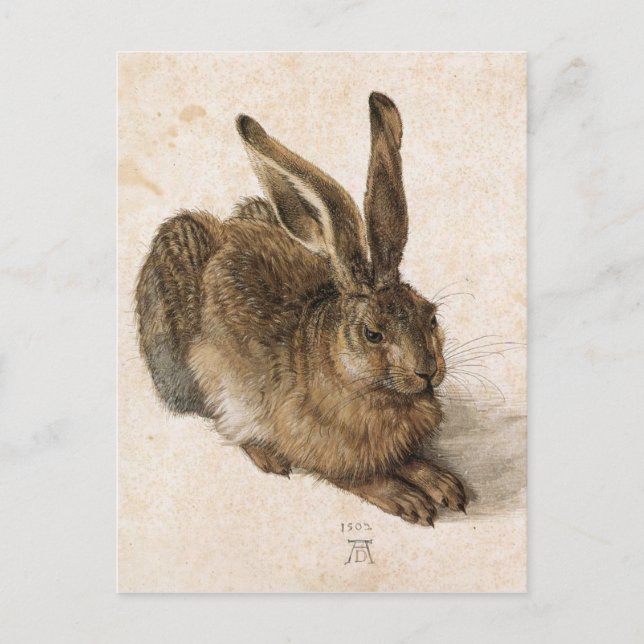Carte Postale Un lièvre par Albrecht Durer (Devant)