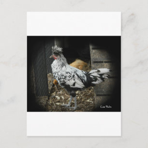 Carte Postale un magnifique design d'un bel oiseau exotique