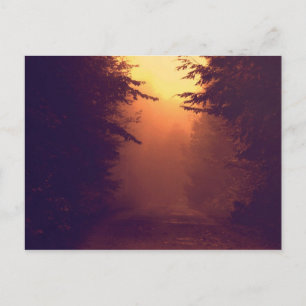 Carte postale Un Matin Foggy