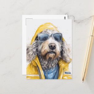 Carte Postale Un mignon chien de caniche dans un imperméable jau