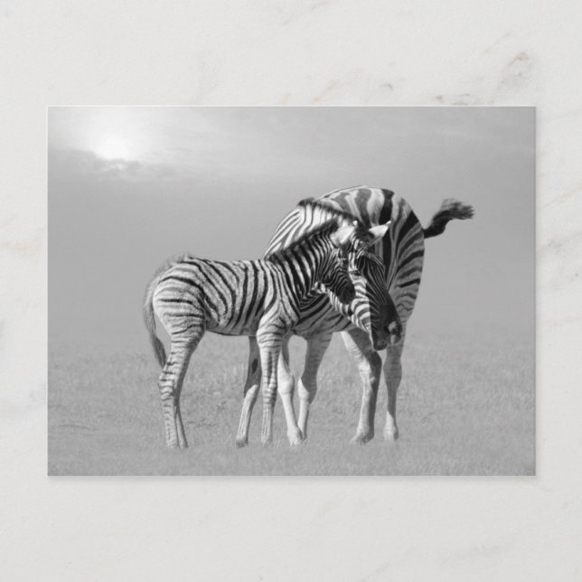 Carte Postale Un moment tendre entre maman et bébé (Devant)
