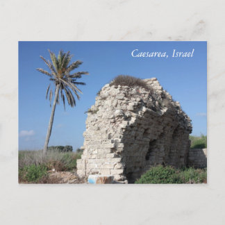Carte Postale Un mur antique avec un palmier, Césarée, Israël
