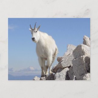 Carte Postale Un oeil sur toi