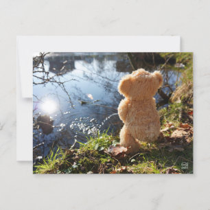Carte Postale Un ours drôle qui plante de façon déprimante.