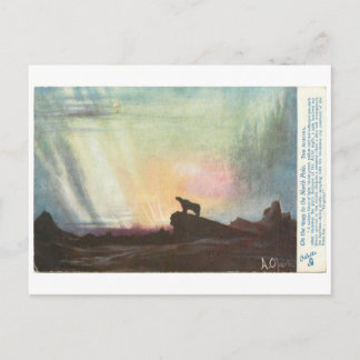 Carte Postale Un ours sur son chemin