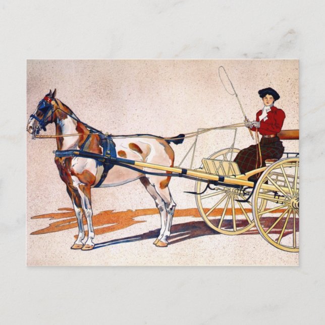 Carte Postale Un panier à casser du Kentucky (Devant)