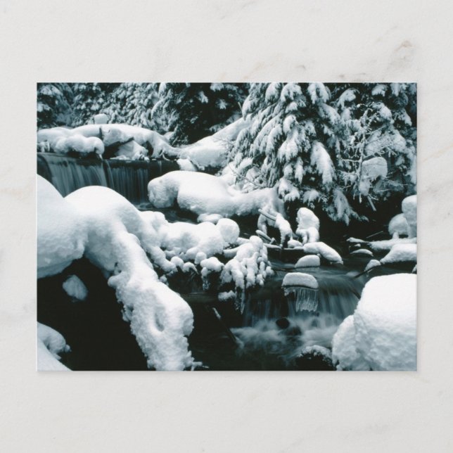 Carte Postale Un paysage hivernal à couper le souffle (Devant)