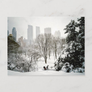 Carte Postale Un Pedicab dans le Central Park pendant l'hiver