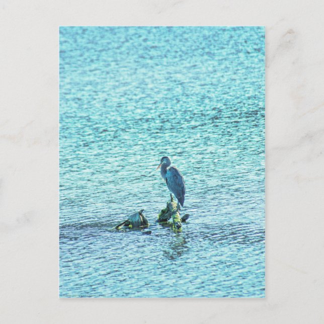 Carte Postale Un penseur (Devant)