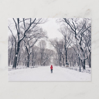 Carte Postale Un petit chaperon rouge moderne à Central Park