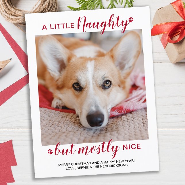 Carte Postale Un Petit Chien Personnalisé Fou Photo Holida (Créateur téléchargé)