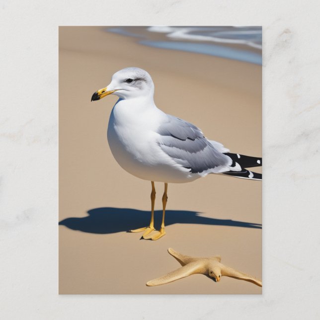 Carte Postale Un petit mouette sur une jolie plage entourée de g (Devant)