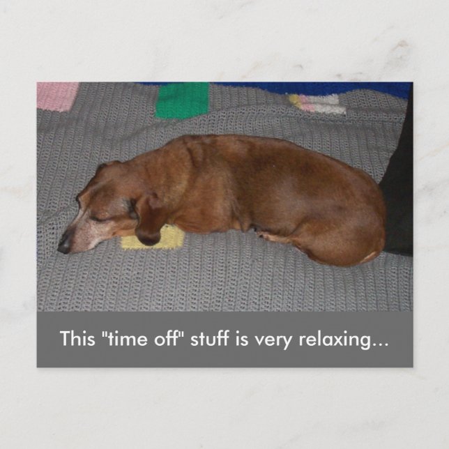 Carte Postale Un peu de R & R - Chien Snooze (Devant)