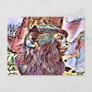 CARTE POSTALE UN PEU DE SINGE