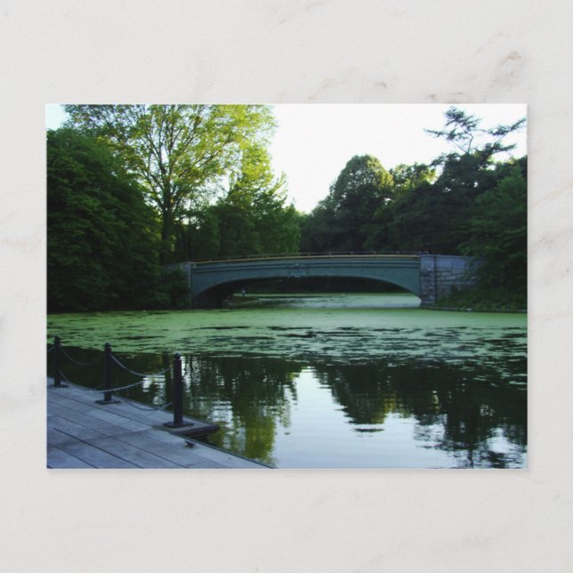 Carte Postale Un pont sur le lac dans Prospect Park (Devant)