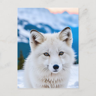 Carte Postale Un portrait en gros plan d'un renard arctique