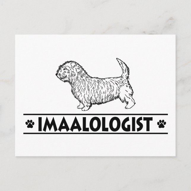 Carte Postale Un regard humoristique d'Imaal Terrier (Devant)
