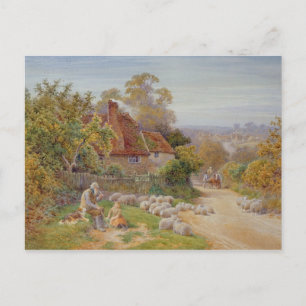 Carte Postale Un repos en chemin
