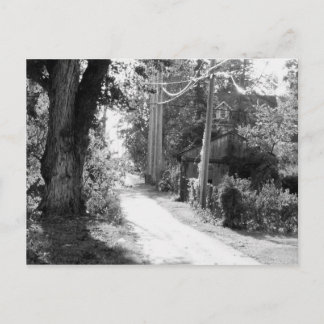 Carte Postale Un rêve de noir et blanc