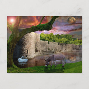 Carte Postale Un rêve de nuits d'été.