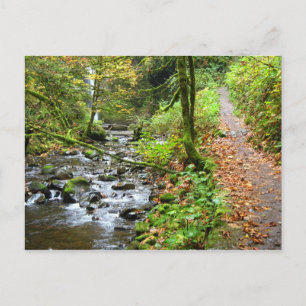 Carte Postale Un ruisseau Cool