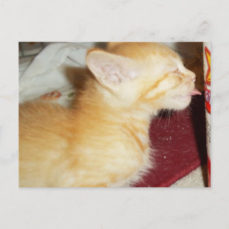 CARTE POSTALE UN SEUL PEU