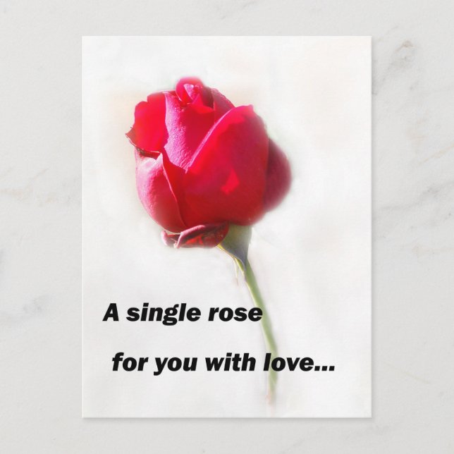 Carte Postale Un seul rose pour vous avec amour... (Devant)