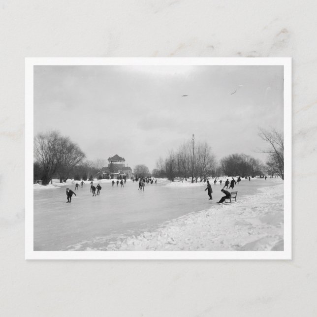 Carte Postale Un sport d'hiver (Devant)