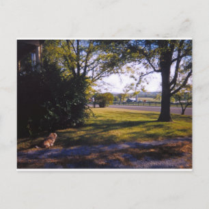 Carte Postale Un spot de beauté bucolique à Brentwood, Tennessee