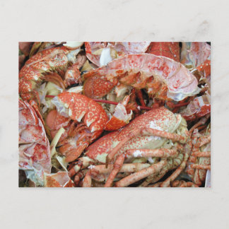 Carte Postale Un tas de coquilles de homard et de crabe cuites