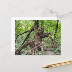 Carte Postale Un troll dans la forêt