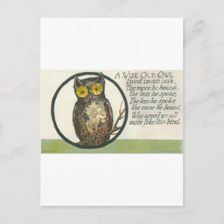 Carte Postale un vieux hibou sage