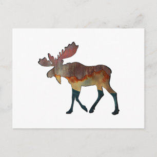 Carte Postale Un voyage incroyable