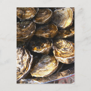 Carte Postale Une assiette d'huîtres.