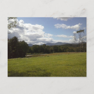 Carte Postale Une bande de Blacktop