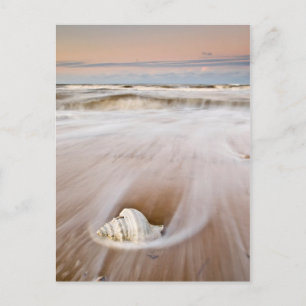 Carte Postale Une Belle Plage   Costa Blanca, Espagne