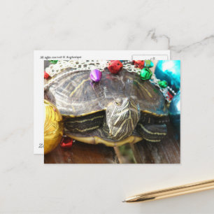 Carte Postale Une belle tortue de Noël