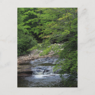 Carte Postale Une cascade miniature