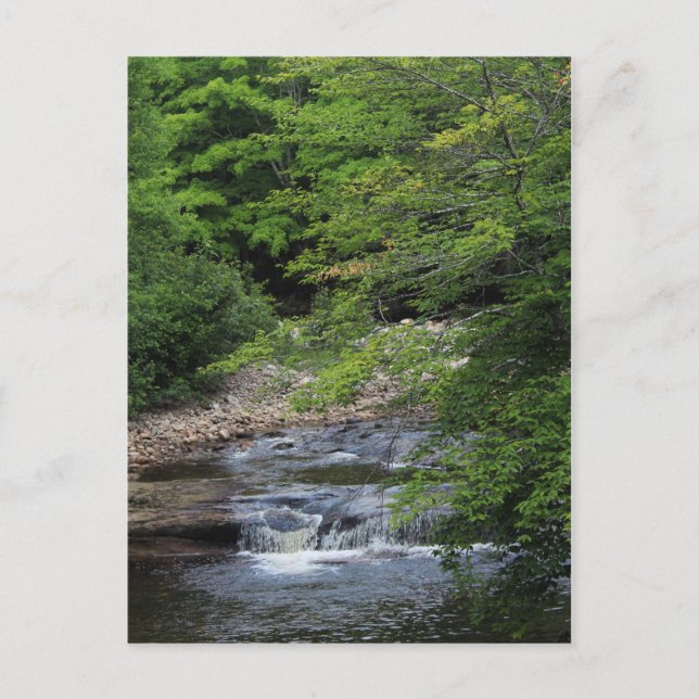 Carte Postale Une cascade miniature (Devant)