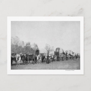 Carte Postale Une femme avec un train Ox tient une photo de hip