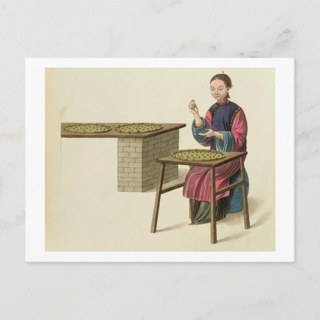 Carte Postale Une femme préparant du thé, assiette 21 de "Le cos (Devant)