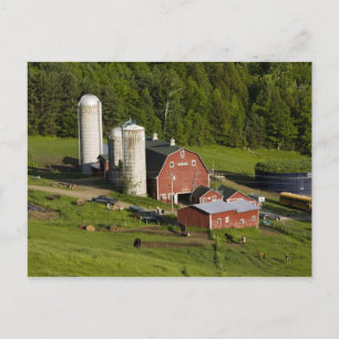 Carte Postale Une ferme à Barnet Center, Vermont. Connecticut