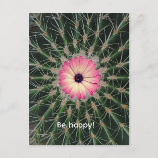 Carte Postale Une fleur rose