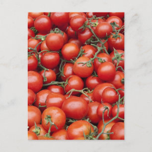 Carte Postale Une grande récolte de tomates sur un stand de marc