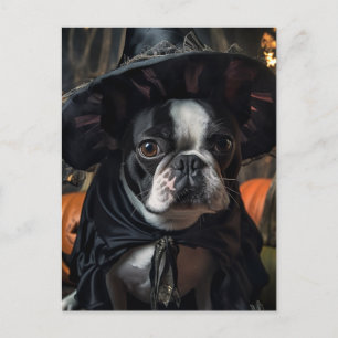 Carte Postale Une jolie sorcière d'Halloween Boston Terrier