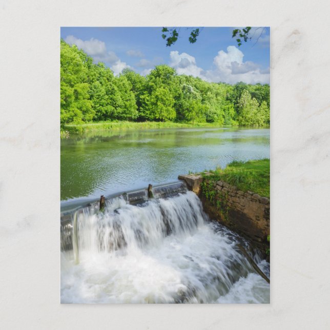 Carte Postale Une Journée À Ritter Springs (Devant)