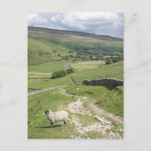 Carte Postale Une journée dans la collection Yorkshire Dales