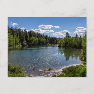 Carte Postale Une journée ensoleillée au lac McClellan