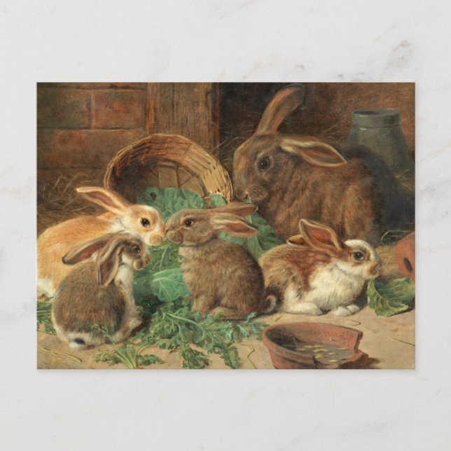 Carte Postale Une lapine et ses petits par Alfred Barber (Devant)