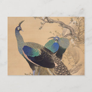 Carte Postale Une paire de paons au printemps par Imao Keinen